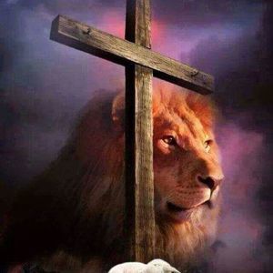 Meet your Posher, Terry